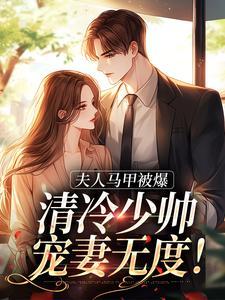 夫人马甲被爆,清冷少帅宠妻无度!