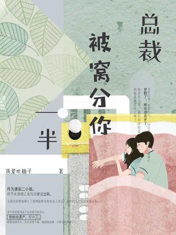 总裁，被窝分你一半
