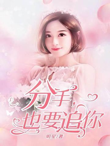 分手也要追你