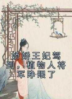 娇娇王妃驾到,植物人将军睁眼了