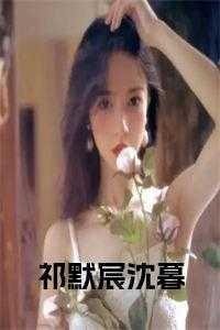 祁默宸沈暮