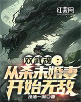 双武魂:从杀未婚妻开始无敌