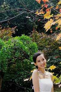 畅读佳作推荐花都枭龙