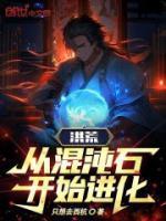 洪荒:从混沌石开始进化!
