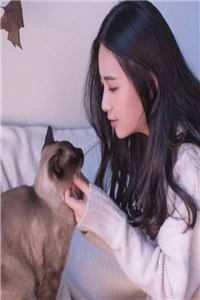 全本小说阅读天光引 全本小说阅读天光引