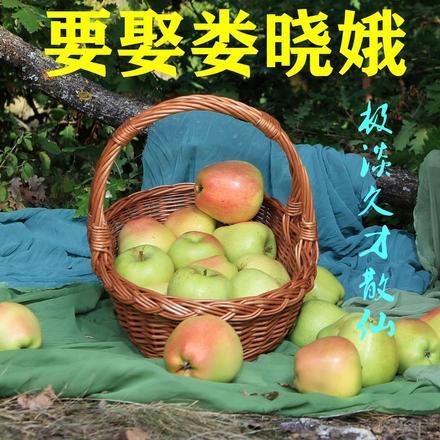 四合院我许大茂要娶娄晓娥